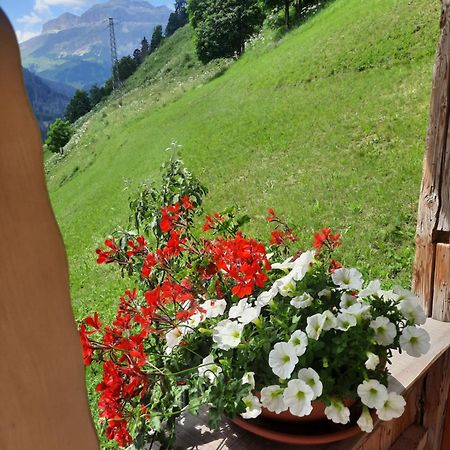 Appartamento L' Aier - Arabba - Dolomiti Livinallongo Del Col Di Lana Bagian luar foto