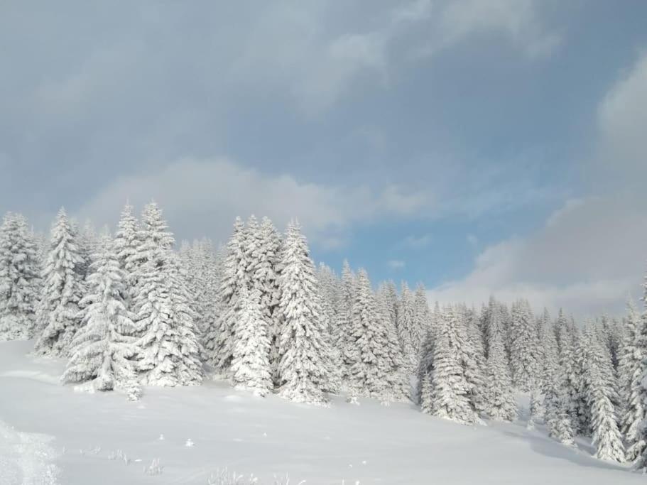 Appartamento L' Aier - Arabba - Dolomiti Livinallongo Del Col Di Lana Bagian luar foto