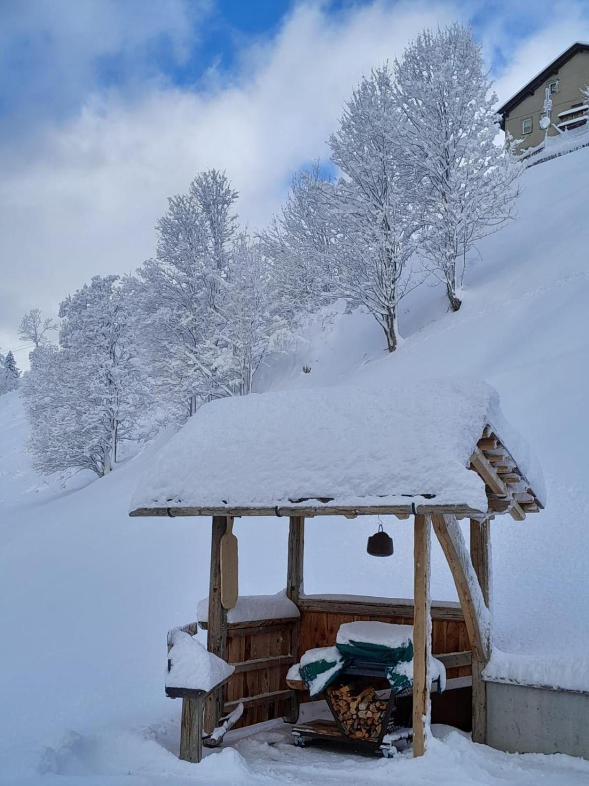 Appartamento L' Aier - Arabba - Dolomiti Livinallongo Del Col Di Lana Bagian luar foto
