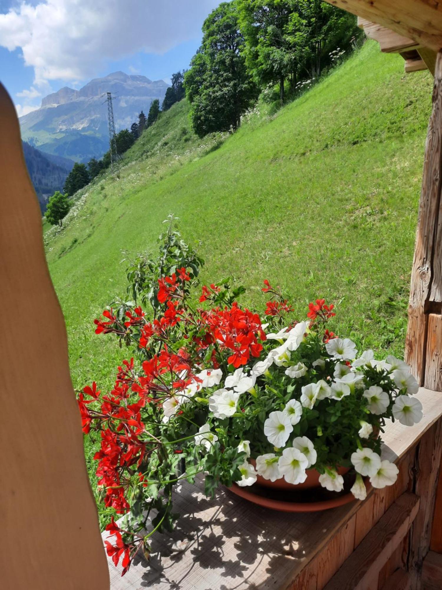 Appartamento L' Aier - Arabba - Dolomiti Livinallongo Del Col Di Lana Bagian luar foto